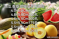 Biodegradable Seedling Starter Paper Pots for Plant Propagation