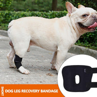 Dog Leg Brace for Injury Recovery and Lick Prevention