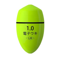 Luminous Fishing Float Set with Battery and Sinker for Sea Rods