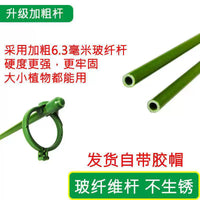 Plant Support Stakes for Tomatoes, Peppers and Climbing Flowers