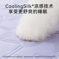 Orthopedic Pet Mattress Bed for Cats and Dogs - All Seasons Spine Support