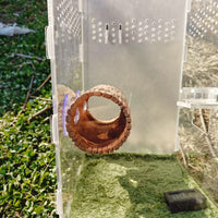 Resin Suction Cup Lizard Hideout Tree Bark Cave for Reptile Terrariums