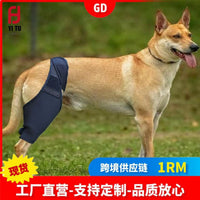 Dog Leg Brace for Injury Recovery - Front/Rear Leg Support for Fractures & ACL