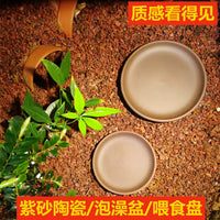 Ceramic Turtle Feeding and Basking Platform with Bathing Basin for Semi-Aquatic Turtles