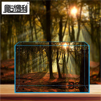 3D Forest Sunlight Aquarium Background Sticker Self-Adhesive Fish Tank Decoration