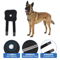 Pet Dog Knee Brace for Joint Support and Injury Recovery