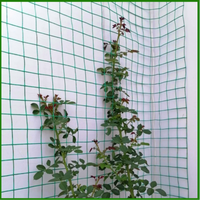 Garden Trellis Netting for Climbing Plants, Roses, and Vines - Wall-Mounted Support