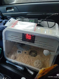 HT36 PID Constant Temperature and Humidity Incubator for Reptiles and Birds
