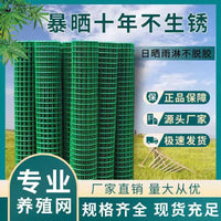 Rust-Proof Galvanized Wire Mesh Fence for Poultry, Garden, and Orchard Enclosures