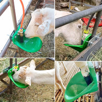 Automatic Livestock Water Bowl for Sheep and Pigs with Plastic Valve
