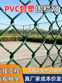 PVC Coated Chain Link Fence Green Diamond Mesh for Pet Enclosures and Garden Fencing