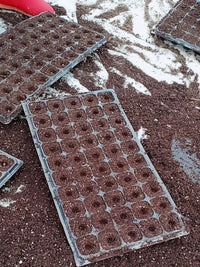 Stainless Steel Seedling Tray Dibbler for Planting