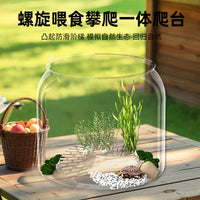 Round Transparent Mini Fish Tank for Desktop, Small Goldfish and Turtle Aquarium