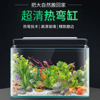 Curved Glass Aquarium Fish Tank for Desktop & Home Decor, Small to Medium Size