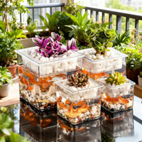 Miniature Creative Hydroponic Planter for Succulents and Micro-Landscape Office Decor