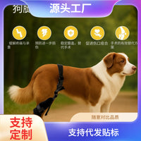 Adjustable Breathable Dog Rear Leg Brace for Joint and Knee Support
