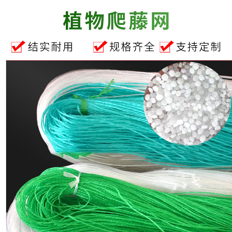 Green Garden Trellis Netting for Climbing Plants, Cucumber, Loofah, Chrysanthemum Support, Windproof and Anti-Lodging Net
