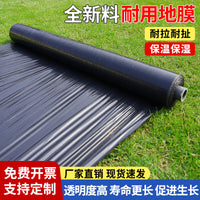 Agricultural Black Mulch Film for Weed Control and Soil Warming