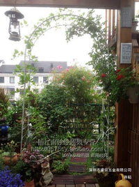 European Style Wrought Iron Rose Arch for Garden and Climbing Plants