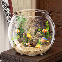 Transparent Desktop Fish Tank with Base and Oxygen Pump for Goldfish and Turtles