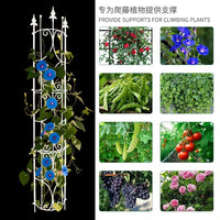 Semi-Circular Metal Plant Support Trellis for Climbing Vines and Roses, Garden Outdoor Fence for Drainage Pipe Cover