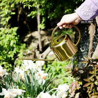 Stainless Steel Long Spout Watering Can for Indoor Plants