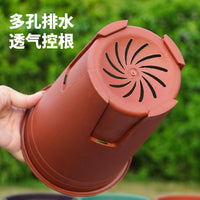 Thickened Plastic Orchid Pot with Drainage Holes for Moth Orchid and Rose, 16cm Diameter