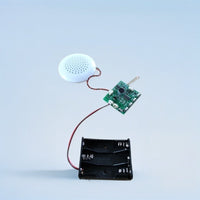 High-Volume Customizable Recording Module for Greeting Cards with Sensor Options