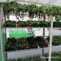Multi-Layer Mobile Garden Utility Cart with Wheels