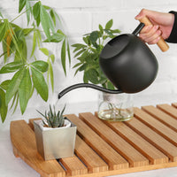 Long Spout Watering Can with Wooden Handle, 1200ML Metal Indoor Watering Pot
