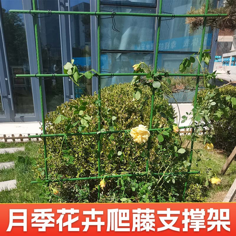 Garden Trellis for Climbing Plants, Roses, Cucumbers, and Vegetables - Outdoor Plant Support Frame