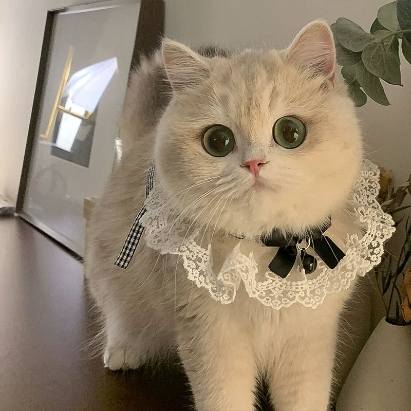 Christmas Pet Collar with Bell and Bow for Cats and Small Dogs