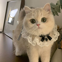 Christmas Pet Collar with Bell and Bow for Cats and Small Dogs