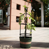 Metal Round Plant Trellis for Climbing Vines and Potted Plants