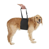 Pet Dog Rear Leg Support Harness for Disabled, Injured, or Elderly Dogs - Rehabilitation Aid