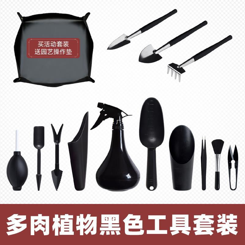 Succulent Plant Tool Set for Home Gardening - Trowel, Tweezers, and More