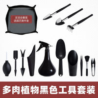 Succulent Plant Tool Set for Home Gardening - Trowel, Tweezers, and More