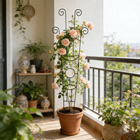 Heart-Shaped Iron Plant Climbing Trellis for Potted Plants