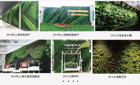 苔藓墙人造苔藓微景观绿植办公室苔藓形象墙仿真永生苔藓植物墙