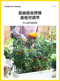 Tomato Cage Plant Support Stakes for Climbing Fruits and Vegetables, Garden Trellis for Tomatoes, Cucumbers, and Watermelons