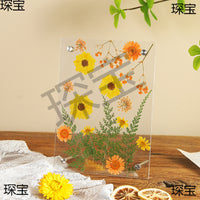 Handmade Acrylic DIY Frame with Dried Flowers, Preschool Graduation Plant Specimen Frame for Kids