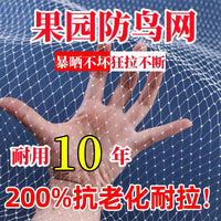 Bird Netting for Fruit Trees, Gardens, and Ponds - Durable Nylon Mesh Protection