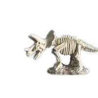 Large Dinosaur Fossil Excavation Kit Blind Box - Tyrannosaurus Rex Skeleton Relief