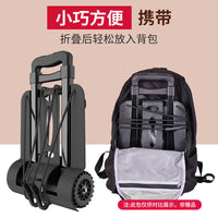 Foldable Portable Shopping Cart with Telescopic Handle for Groceries and Hauling