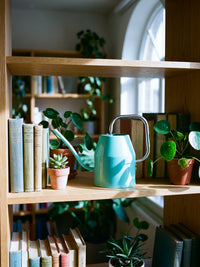 Long Spout Watering Can for Indoor Plants & Garden, 1L/1.2L Retro Style