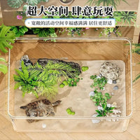 Clear Acrylic Desktop Fish Tank with Ecological Landscape for Goldfish and Turtles