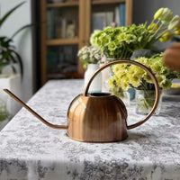 Long Spout Watering Can for Indoor Outdoor Plants, 1.2L Metal Watering Pot for Garden Patio Home