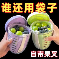 Portable Food-Grade Plastic Fruit Storage Container for Refrigerator and Travel