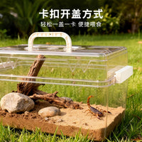 Portable Reptile Terrarium with Ventilation for Lizards, Geckos, Frogs, and Turtles