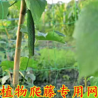 Plant Trellis Netting for Climbing Vegetables and Fruits, Heavy Duty Garden Support Mesh
